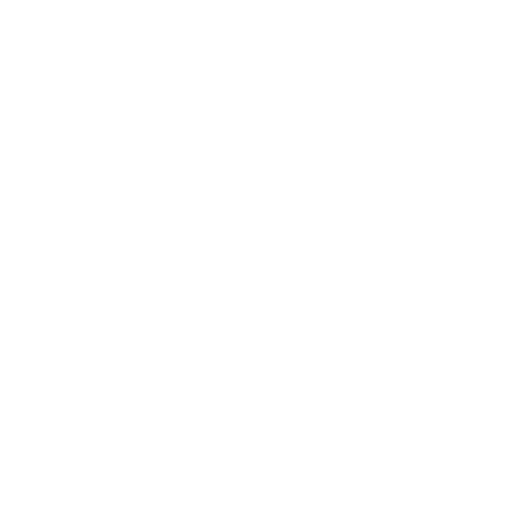 Compliance Audit